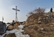 72 Riposo sul fresco della neve alla bella croce di vetta della Cornagera